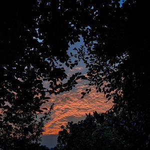 近親相姦-風間ゆみ
